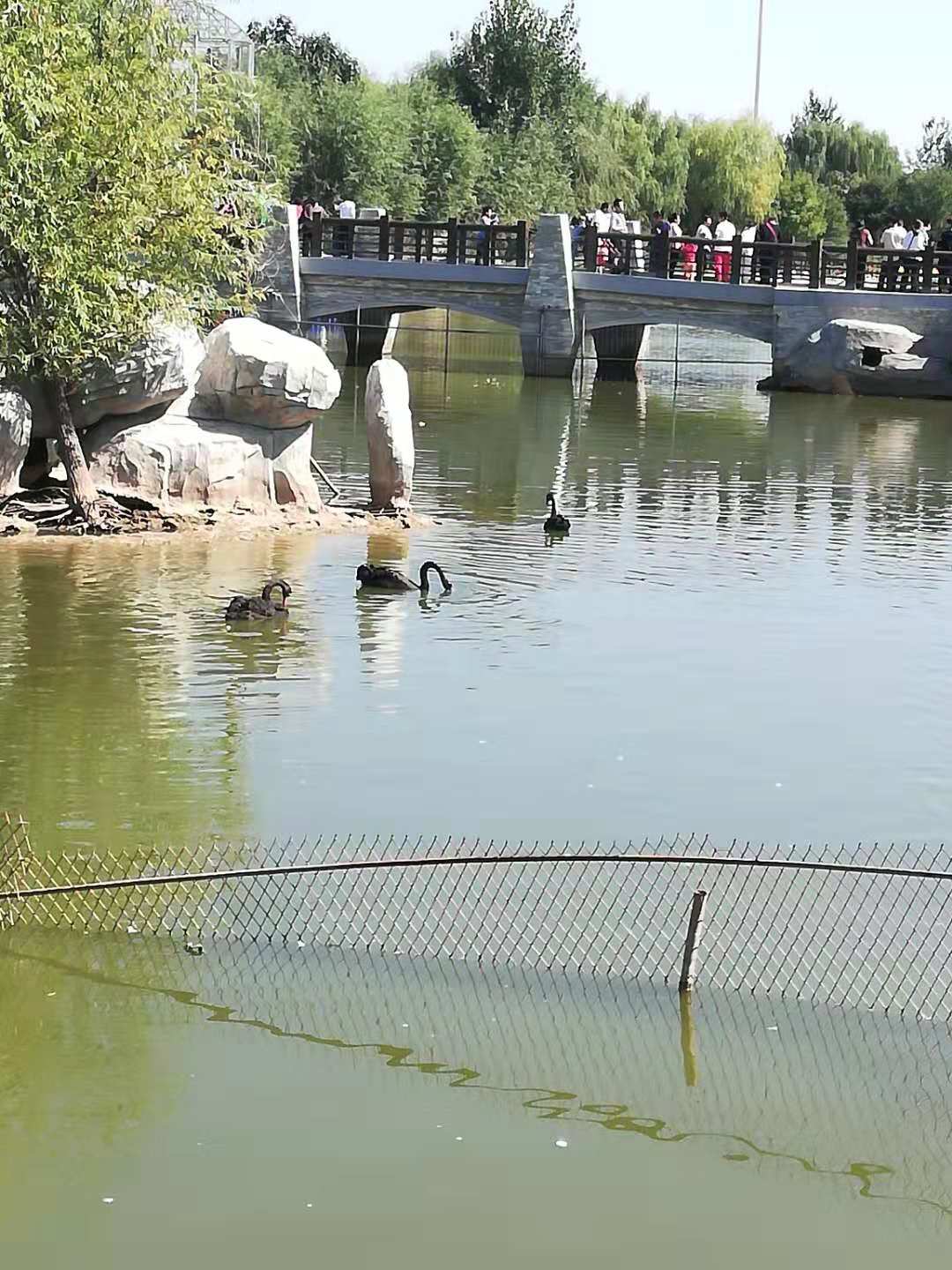 孫文娜動植物園